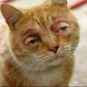 Meet your Posher, Ivan